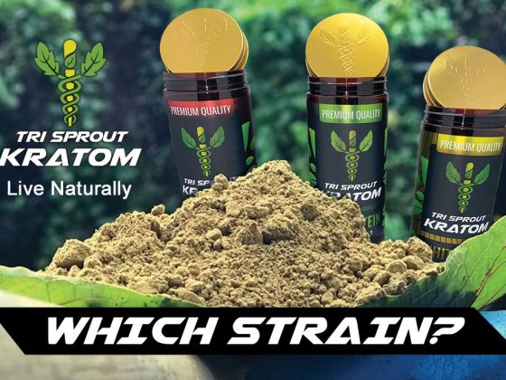 Kratom Strain, Which One Is Right?