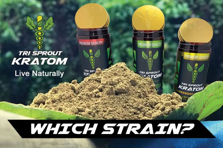 Kratom Strain, Which One Is Right?