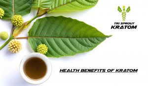 Health Benefits of Kratom