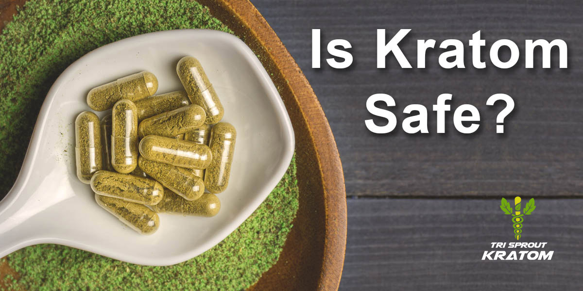 Is Kratom Safe? - Tri Sprout Kratom - Shop For Kratom Online