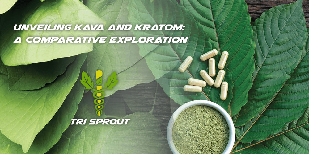 Unveiling Kava and Kratom A Comparative Exploration Tri Sprout Kratom Shop For Kratom Online