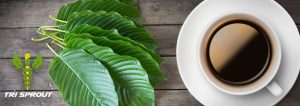 Kratom vs. coffee