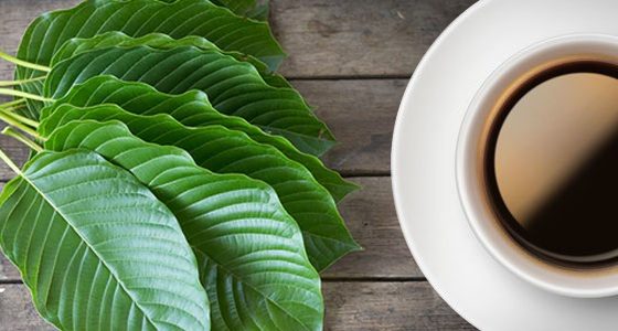 Kratom vs. coffee
